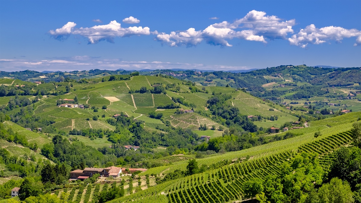 Cantine Aperte in Piemonte per l’ultimo weekend di maggio