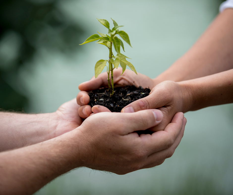 Il valore del credito cooperativo per il sud del Piemonte