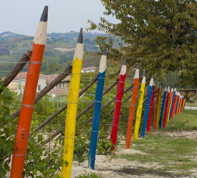 Coltivare valore umano: la forza della cooperazione tra vigne e comunità