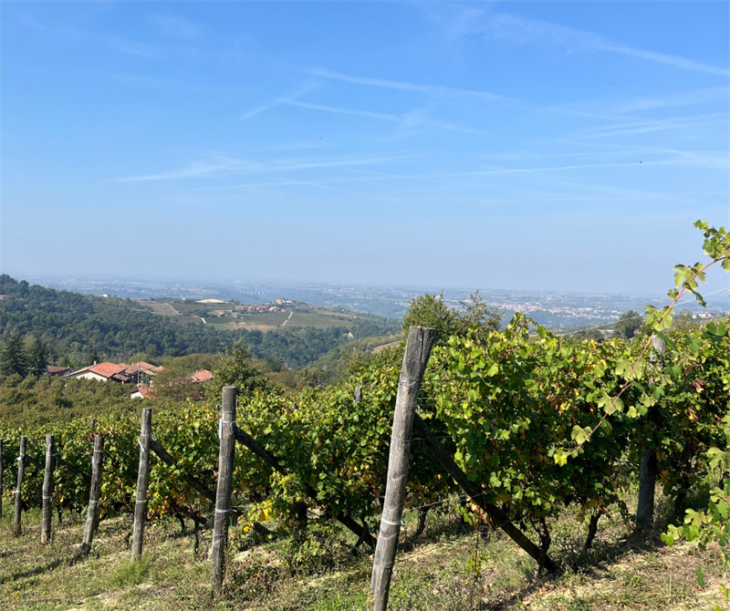Agricoltura piemontese, Confcooperative Piemonte audita dalla Commissione Legalità del Consiglio...